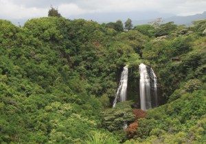 Opaeka'a Falls