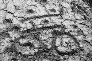 Petroglyphs at Pu'u 