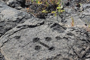 Petroglyph with holes for umbilical cords