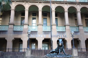 Sydney Hospital's lucky boar, il porcellino