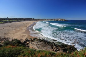Bondi in the sunshine