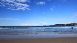 Beautiful Bondi