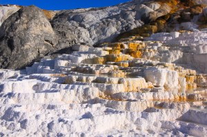 Mammoth Hot Springs