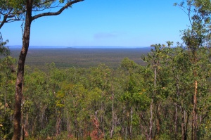 View from the top of the Mirray Lookout