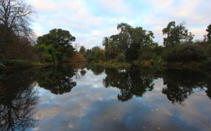 Melbourne Botanical Gardens