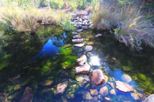 Stepping stones on the Emma Gorge walk