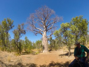 Cowboy Christian and boab tree