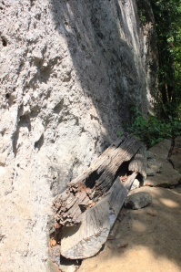 Ironwood coffin 